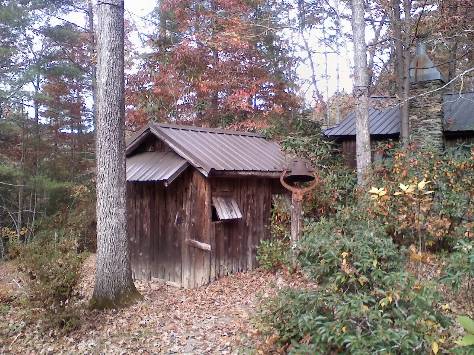 Small metal roof on a rough sawn shed in the woods in Dorchester